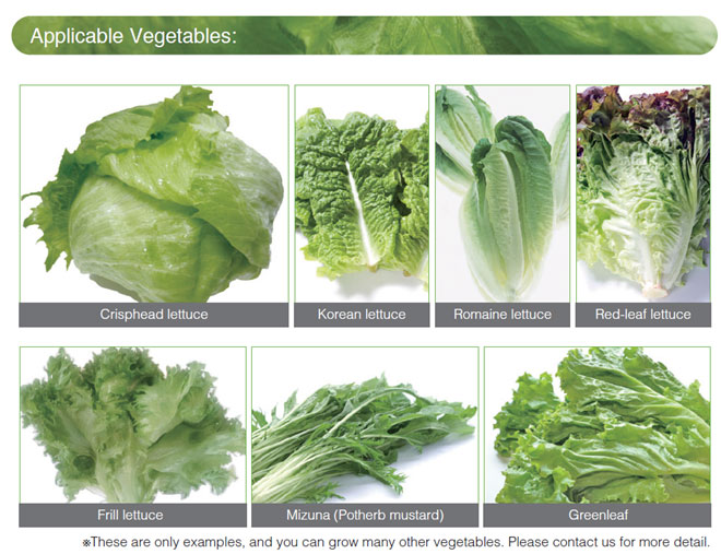 Applicable Vegetables