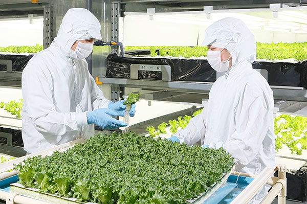 Germ- and Insect-Prevention